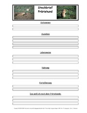 Präriehund-Tiersteckbriefvorlage.pdf